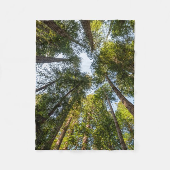 Redwood National and State Parks, California Fleece Blanket (Front)