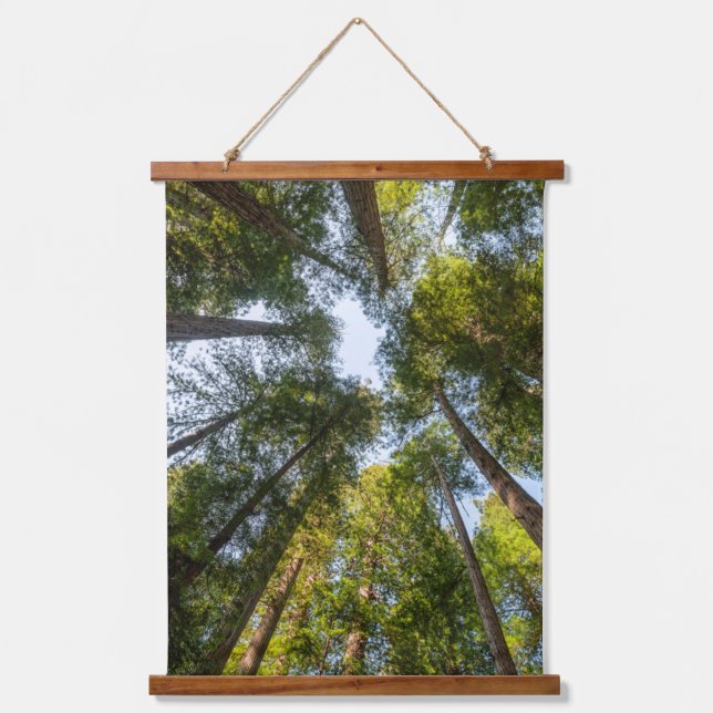 Redwood National and State Parks, California Hanging Tapestry (Front)