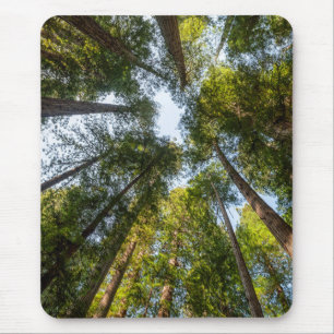Redwood National and State Parks, California Mouse Mat