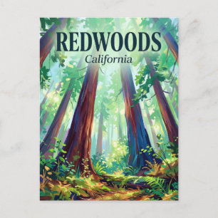 Redwood National and State Parks California Postcard