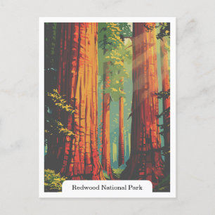 Redwood National and State Parks, California USA Postcard