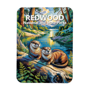 Redwood National Park Animal Otters Van Gogh Style Magnet