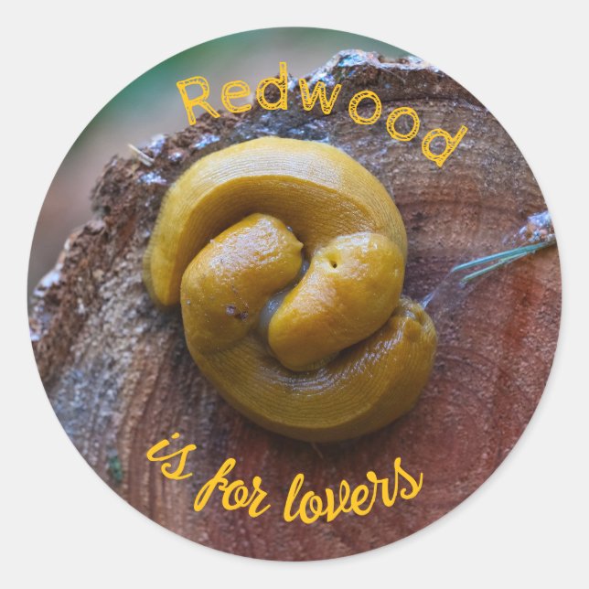Redwood National Park Banana Slug Pair Classic Round Sticker (Front)