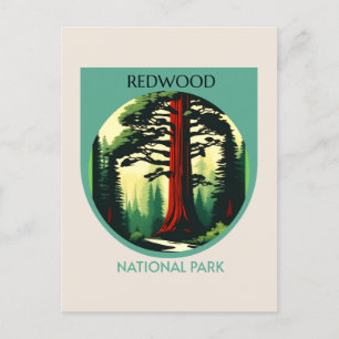 Redwood National Park Beauty in California  Holiday Postcard