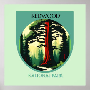 Redwood National Park Beauty in California Poster