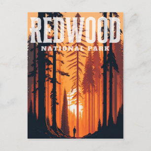 Redwood National Park, CA Postcard