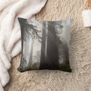 Redwood National Park California Cushion