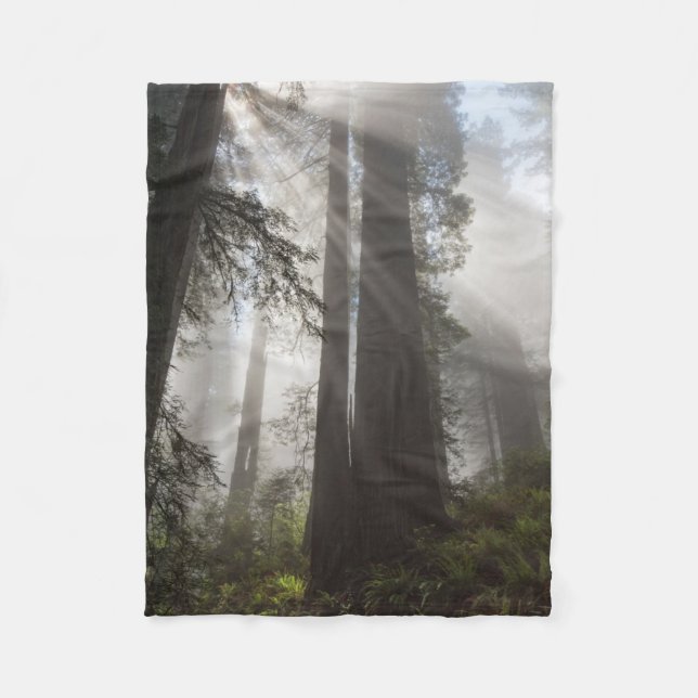 Redwood National Park California Fleece Blanket (Front)