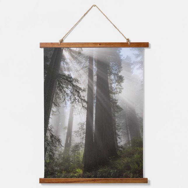 Redwood National Park California Hanging Tapestry (Front)
