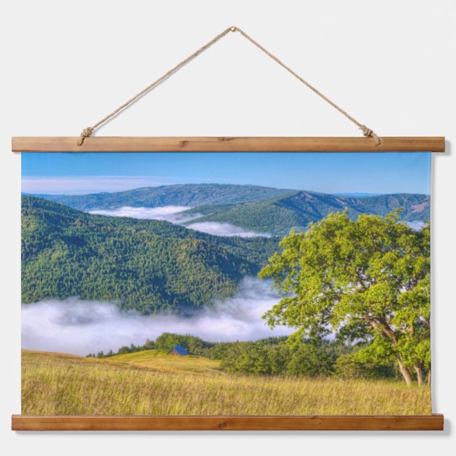 Redwood National Park, California Hanging Tapestry (Front)