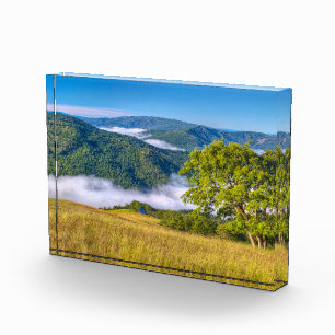 Redwood National Park, California Photo Block