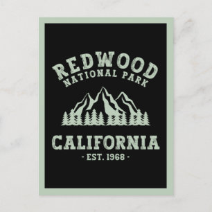 Redwood National Park California Postcard