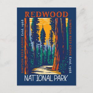 Redwood National Park California Retro Distressed Postcard