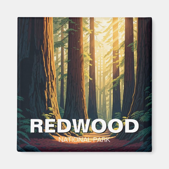 Redwood National Park California Sunlight Magnet (Front)