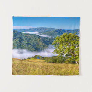 Redwood National Park, California Tapestry