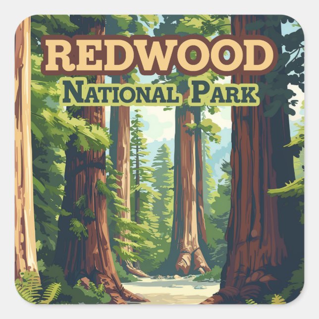 Redwood National Park California Tree Retro Square Sticker (Front)