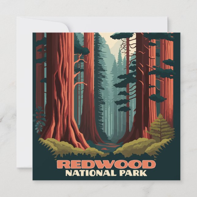Redwood National Park California Trees (Front)