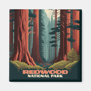 Redwood National Park California Trees Magnet