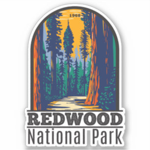 Redwood National Park California Vintage