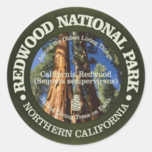 Redwood National Park Classic Round Sticker