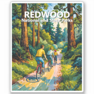Redwood National Park Forest Family Cycling Nature