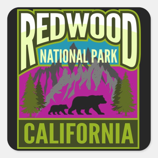 Redwood National Park Forest Mountains with Bears Square Sticker (Front)