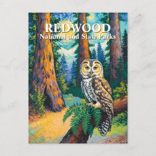 Redwood National Park Forest Owl Van Gogh Style Postcard
