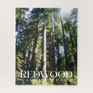 Redwood National Park JigsawPuzzle Jigsaw Puzzle