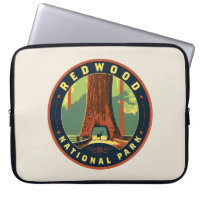 Redwood National Park