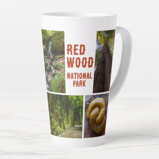 Redwood National Park Photo Latte Mug (Right Angle)