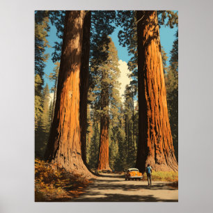 Redwood National Park Vintage Style Travel Poster