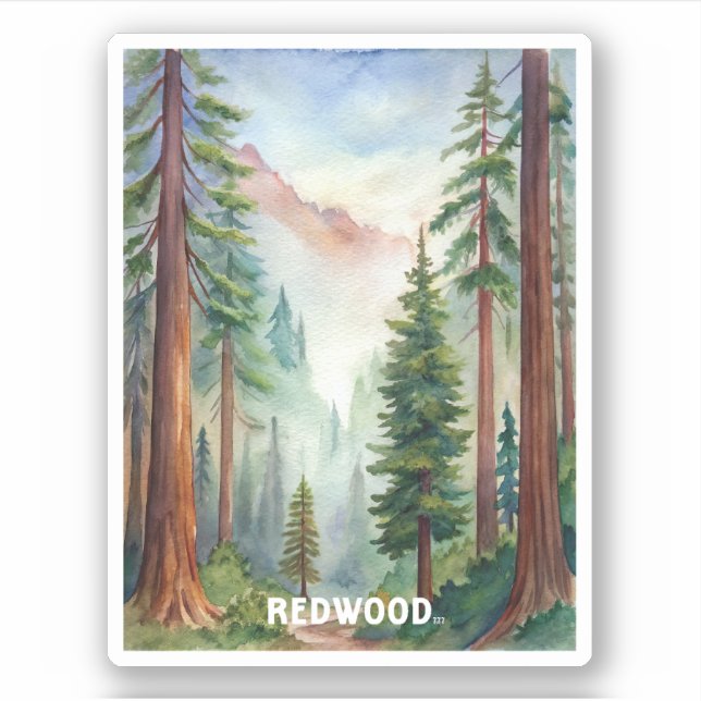 Redwood National Park Watercolor Painting (Front)