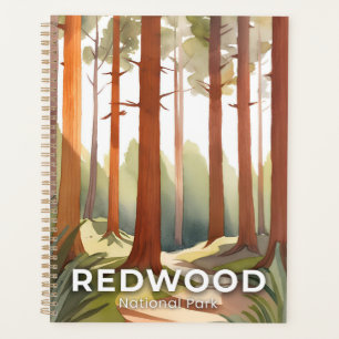 Redwood National Park   Watercolor Travel Art Planner