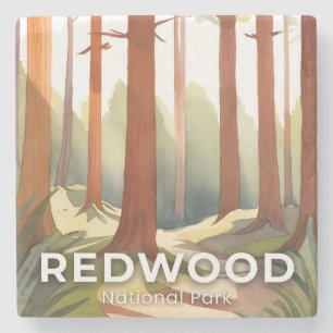 Redwood National Park   Watercolor Travel Art Stone Coaster