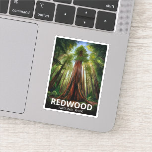 Redwood national state park, Coastal California