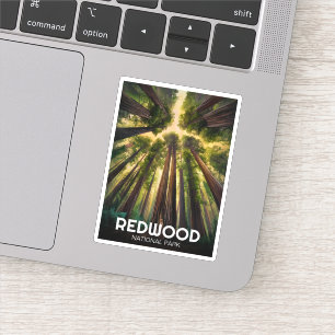 Redwood national state park, Coastal California