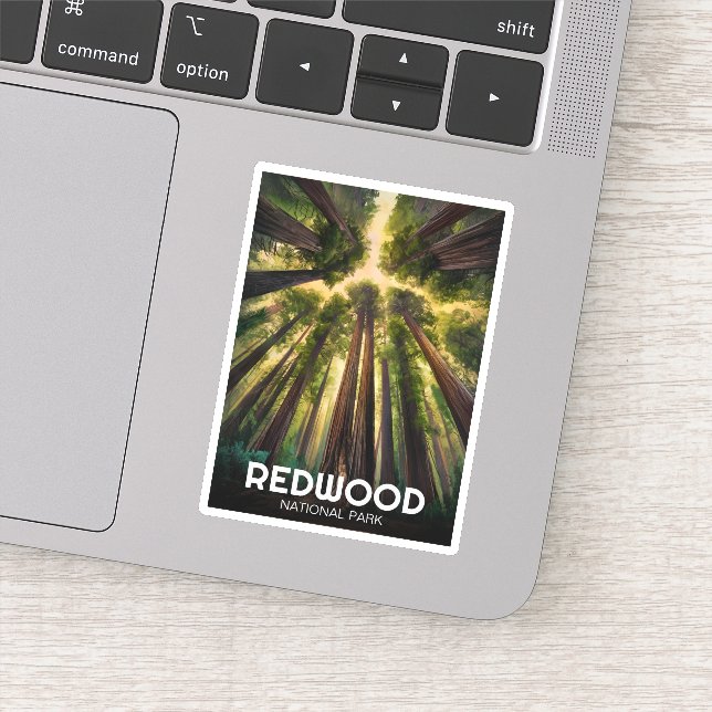 Redwood national state park, Coastal California  (Detail)