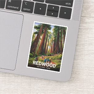 Redwood national state park, Coastal California 