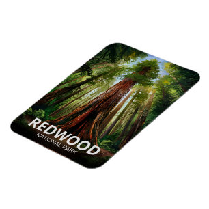 Redwood national state park, Coastal California Magnet