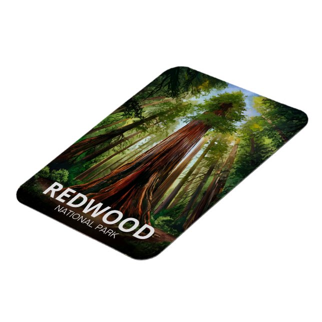 Redwood national state park, Coastal California  Magnet (Left Side)
