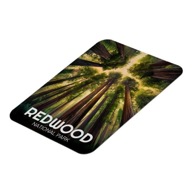 Redwood national state park, Coastal California  Magnet (Left Side)