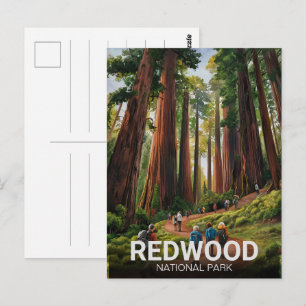 Redwood national state park, Coastal California Postcard