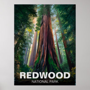 Redwood national state park, Coastal California  Poster