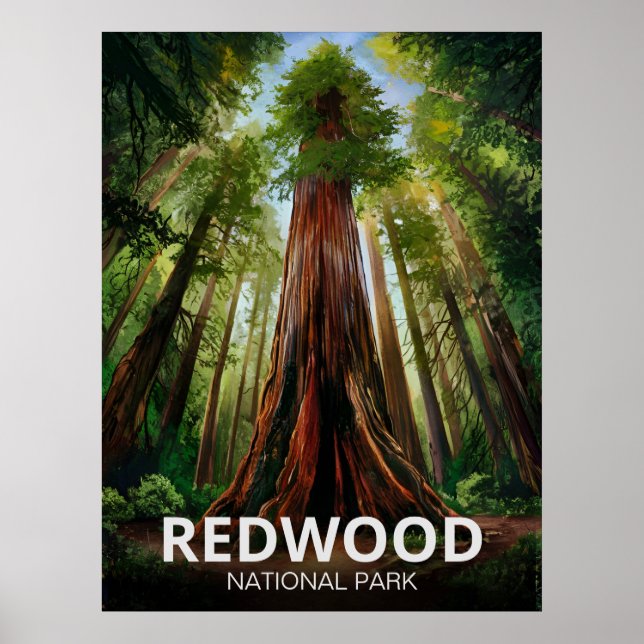 Redwood national state park, Coastal California  Poster (Front)