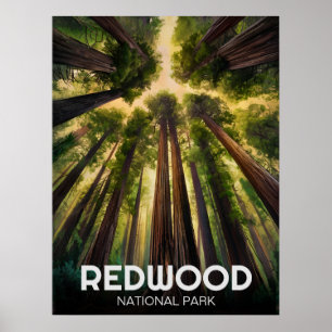 Redwood national state park, Coastal California  Poster