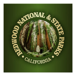 Redwood National & State Parks (NP2) Poster