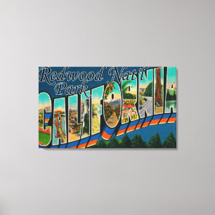 Redwood Nat'l Park, California Canvas Print