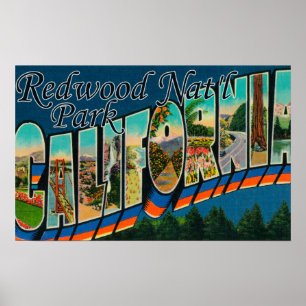 Redwood Nat'l Park, California Poster