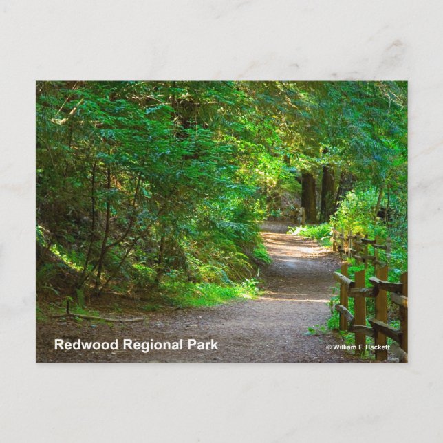 Redwood Regional Park California Products Postcard (Front)