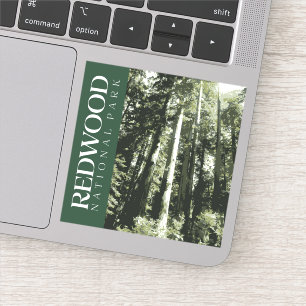 Redwood Sticker, National Park Decal